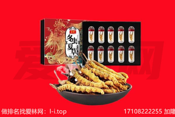 舟山回收虫草.jpg